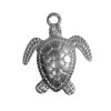 Tortuga