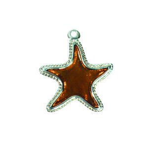 Estrella de Mar