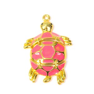 Tortuga