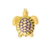 Tortuga
