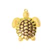 Tortuga