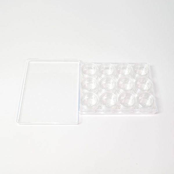 Caja Organizadora