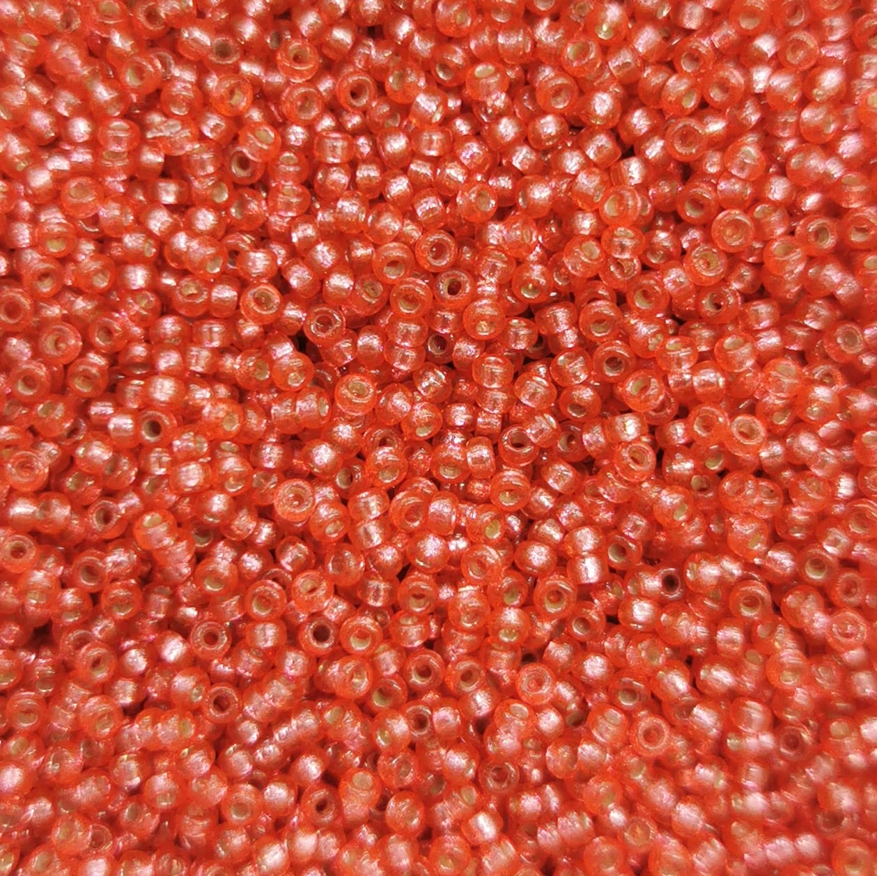 Melon brillante 460 (TR-4263)