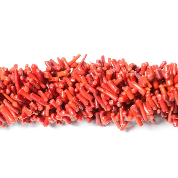 Coral Palito