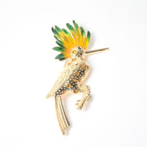 Pajaro