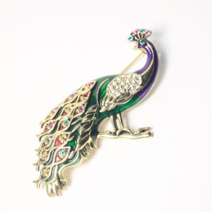 Pavo