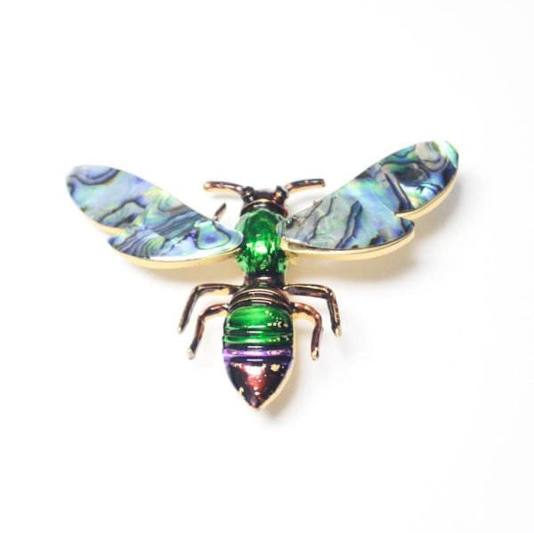 Insecto