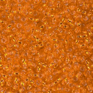 ZANAHORIA BRILLANTE  118